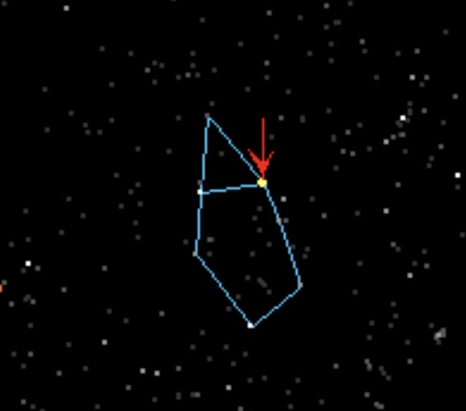 term image