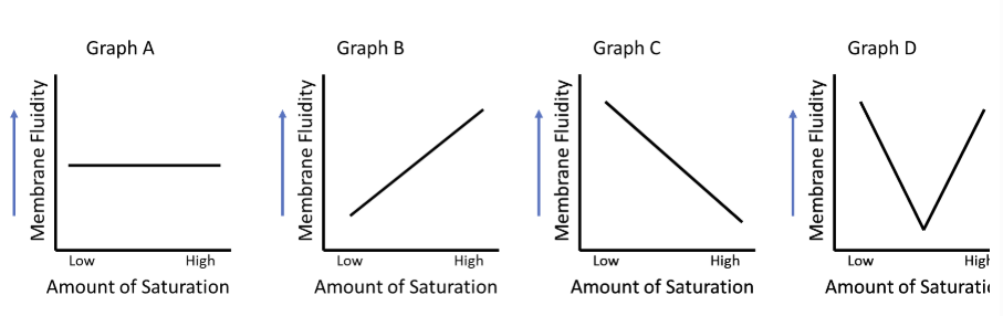 <p>Which graph best represents the effect of fatty acid saturation on Membrane Fluidity?</p>