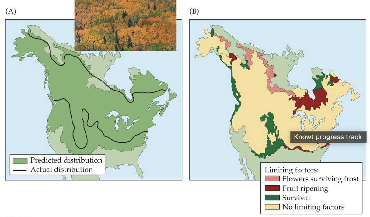 <p>What is an example of a response to environmental variation?</p>