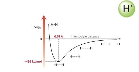 <p>Where is the H-H molecule most stable on the potential-energy graph?</p>