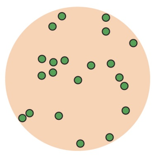 <p>Individuals are spaced unpredictably, often due to weak interactions or random processes</p>