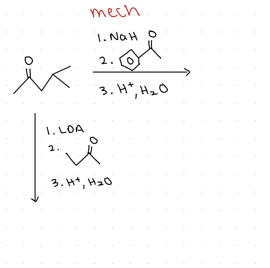 <p>mechanism</p>