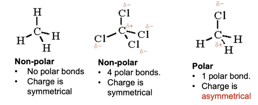 <ul><li><p>when a molecule has one or more polar bonds, where the electronegativity differences are big enough to consider it a polar bond</p></li><li><p>must be asymmetrical (one side is positive, one side negative)</p></li></ul><p></p>