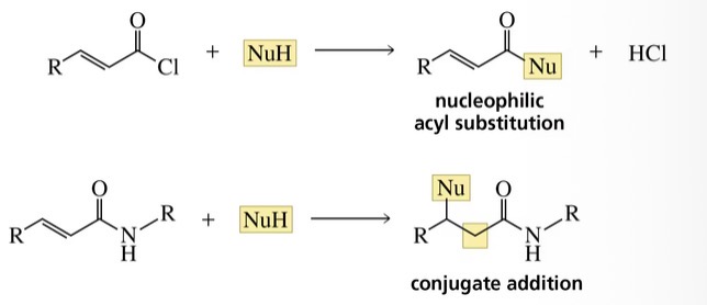 <p>A nucleophilic acyl substitution product with a reactive carbonyl group and a conjugate addition product with a less reactive carbonyl group </p>