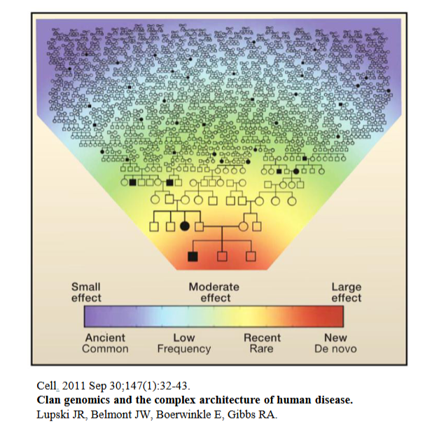 <ol><li><p><strong>Understand the <em><u>dynamics of variation</u></em></strong><em><u> </u></em>in human populations and to <strong><em><u>have as complete an inventory of that variation</u></em></strong> in human populations</p></li><li><p>Recognize a<em><u> </u></em><strong><em><u>Temporal Bias</u></em></strong> (eg. Right now its European centric) in what we consider to be medically good or bad</p></li><li><p>Recognize that to date finding<strong><em><u> rare mendelian causes </u></em></strong>of some complex disorders for eg. Parkinson’s,<strong><em><u> provided insight on mechanisms and cellular pathways</u></em></strong> involved in more common forms. Newer genomic tech are contributing further to the understanding of complex disorders</p></li></ol><p></p>