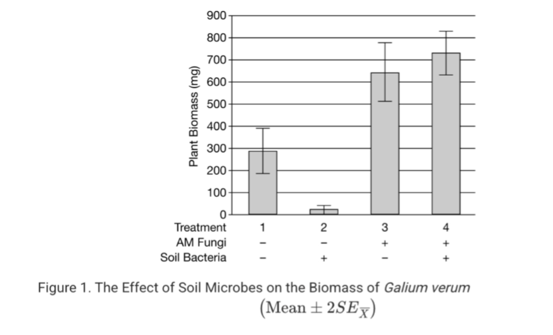 <p><span><span>Researchers were studying the effects of microbes on the growth of the yellow bedstraw plant, Galium verum. They grew yellow bedstraw plants under four treatments: in the presence of soil bacteria only, arbuscular mycorrhizal (AM) fungi only, both bacteria and AM fungi, or neither. After 6 months, they measured the biomass of the plants (Figure 1).</span></span></p><p><span><span>Which of the following best describes a statistical relationship indicated in Figure 1?</span></span></p>