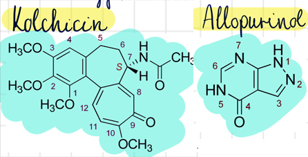 <p>allopurinol (Milurit) <br>kolchicin (Colchicum-Dispert)</p>