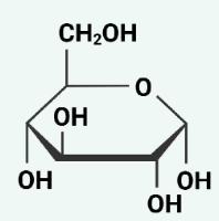 <p>glucose</p>