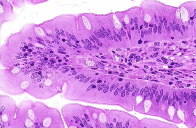 <p>What is this?</p>
