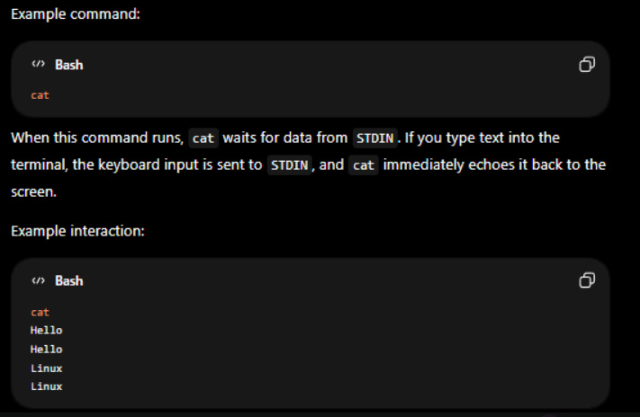 <p>STDIN</p>