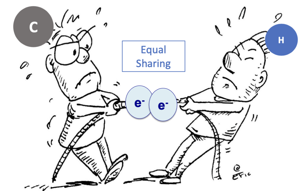 <ul><li><p>small difference in electronegativity </p></li><li><p>equal sharing of electrons</p></li></ul><p></p>