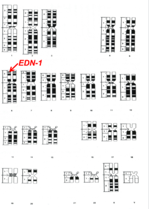 <p>True or False: The position of genes are charcateristic  of our species </p>