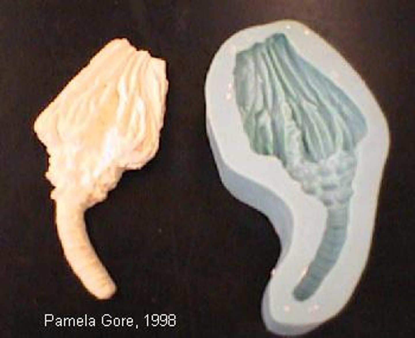 <p>un moule</p>