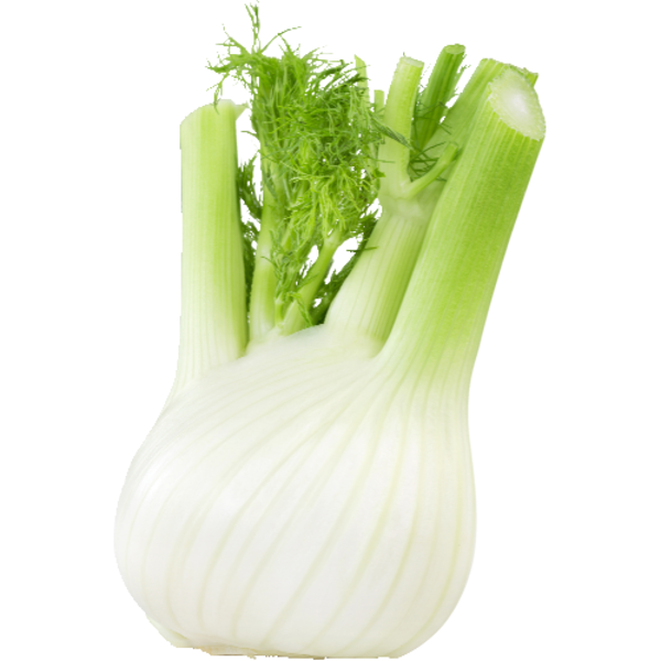 <p>Anise/Fennel, Organic</p>