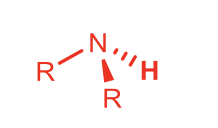 <p>R₂NH (secondary amine)</p>