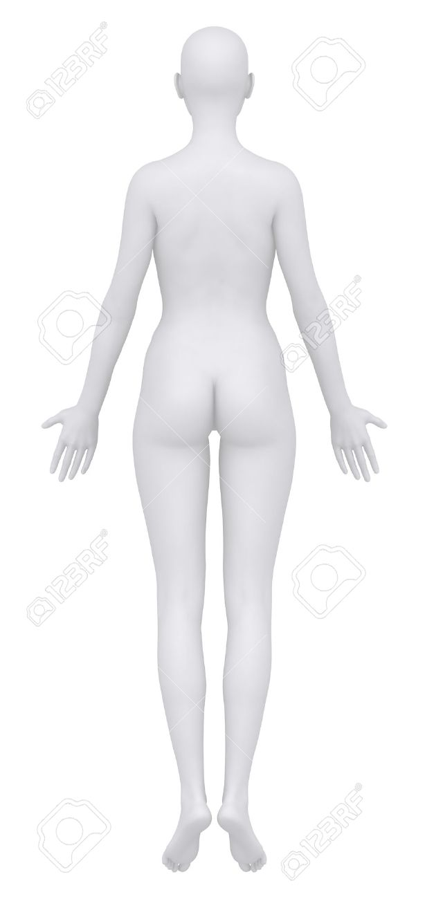 <p>posterior</p>