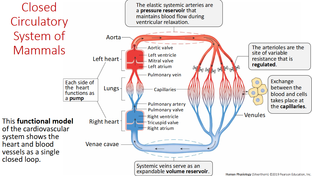 <p>Expandable volume reservoirs (low pressure)</p>