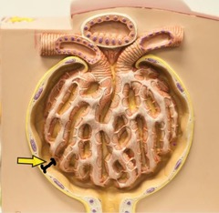 <p>Identify this space.</p>