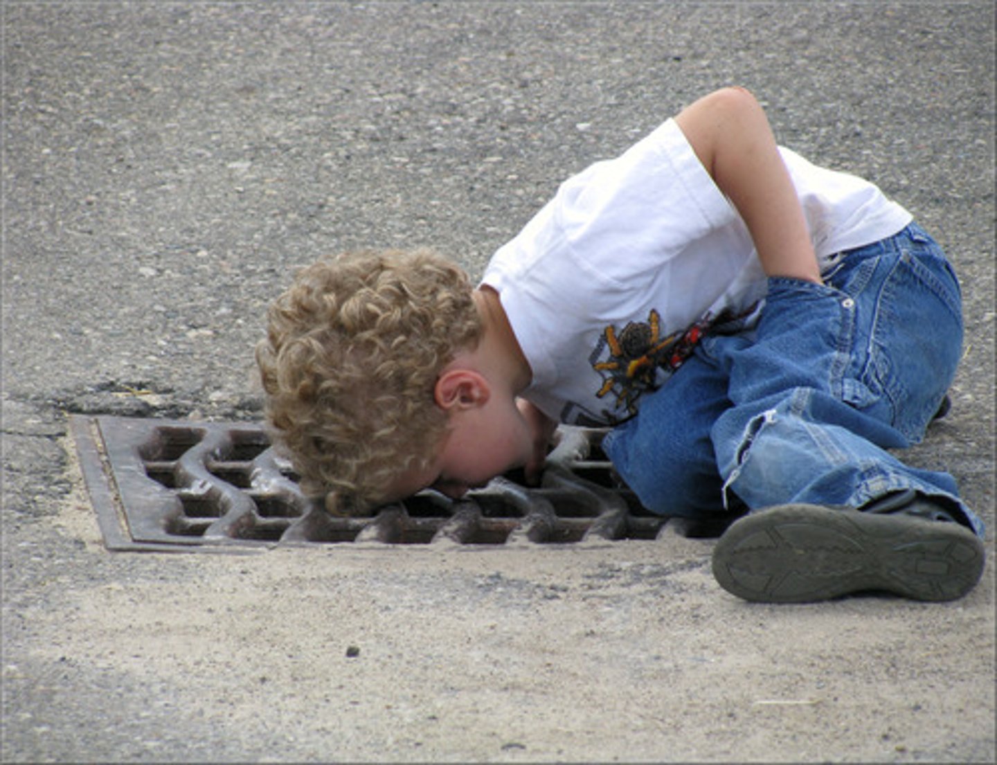 <p>what is he looking for?</p>