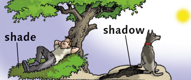 <p>shadow</p>