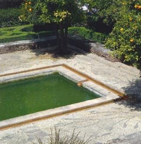 term image