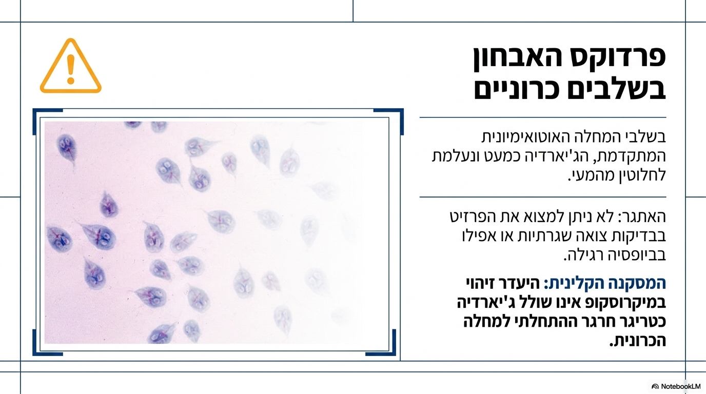 <ul><li><p><strong>האתגר באבחון:</strong> בשלבים הכרוניים המתקדמים של דלקת המעי, הג'יארדיה <strong>כמעט ונעלמת לגמרי</strong> וקשה מאוד למצוא אותה אפילו בבדיקת ביופסיה רגילה.</p></li><li><p><strong>שיטות זיהוי מודרניות:</strong></p><ol><li><p><strong>פלואורסנציה של הביופסיה</strong>.</p></li><li><p>בדיקת <strong>פי.סי.אר</strong> של רירית המעי.</p></li></ol></li><li><p><strong>חשיבות האבחון:</strong> גילוי ממוקד של הטפיל באמצעות שיטות אלו מאפשר להעניק <strong>טיפול ממוקד ומצליח</strong> שמבריא את החיה.</p></li></ul><p></p>