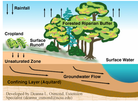 <p><span>–</span><span style="font-family: "Futura Md BT";"><strong>The process by which water enters the soil surface</strong></span></p>