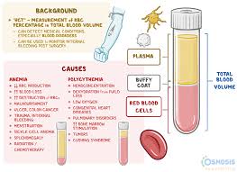 <p>What is hematocrit?</p>