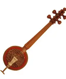 <ul><li><p>spiked fiddle, played upright with a bow</p></li><li><p>“Ai Delbari Khamosh” </p></li></ul><p></p><p></p>