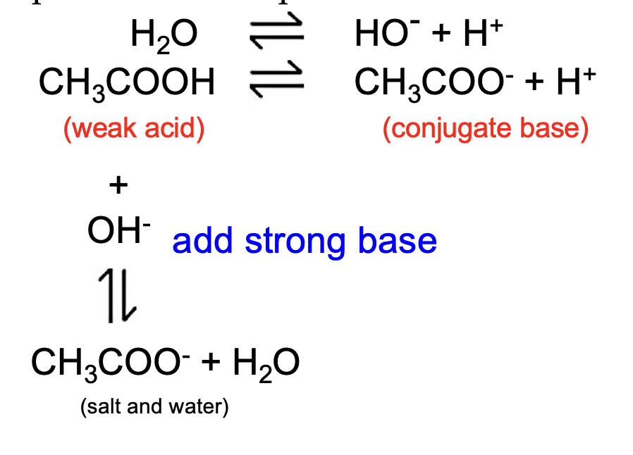 <p>reacts with the weak acid to form water</p>
