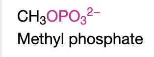 <p><strong>Monophosphate</strong></p><p>Name Ending: phophate</p>