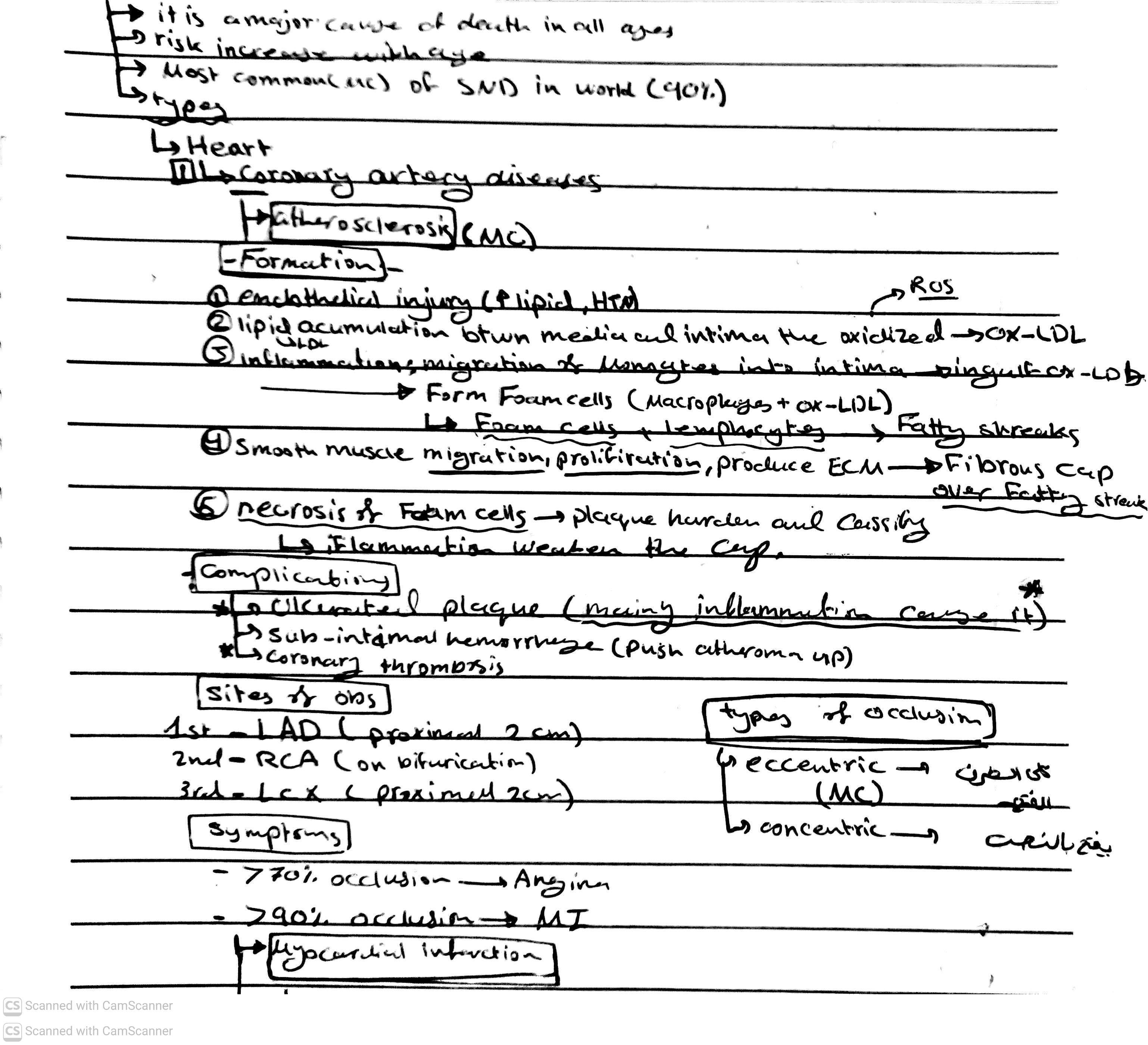 knowt flashcard image