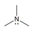 <p>functional group</p>