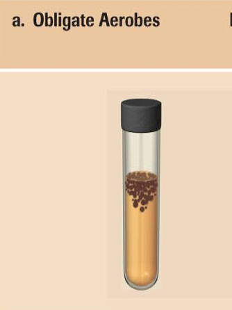 <p>all close to the top</p>