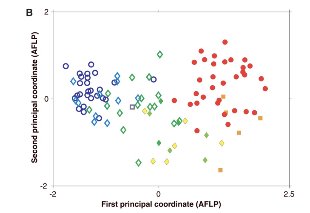 <p>Figure 1B (previous page) is a PCA plot of the AFLP gene used by the authors to measure genetic distance between the subspecies. The symbols and colors match the sampling location indicated in 1A (ex. a red circle in 1B indicates one of the UY samples in 1A). Describe the pattern of genetic clines of the population according to the PCA plot.</p>