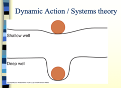 <p>- Suggests that the new movement emerges because of a critical change in one of the systems, called a "control parameter."</p>