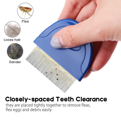 <p>Flea comb</p>