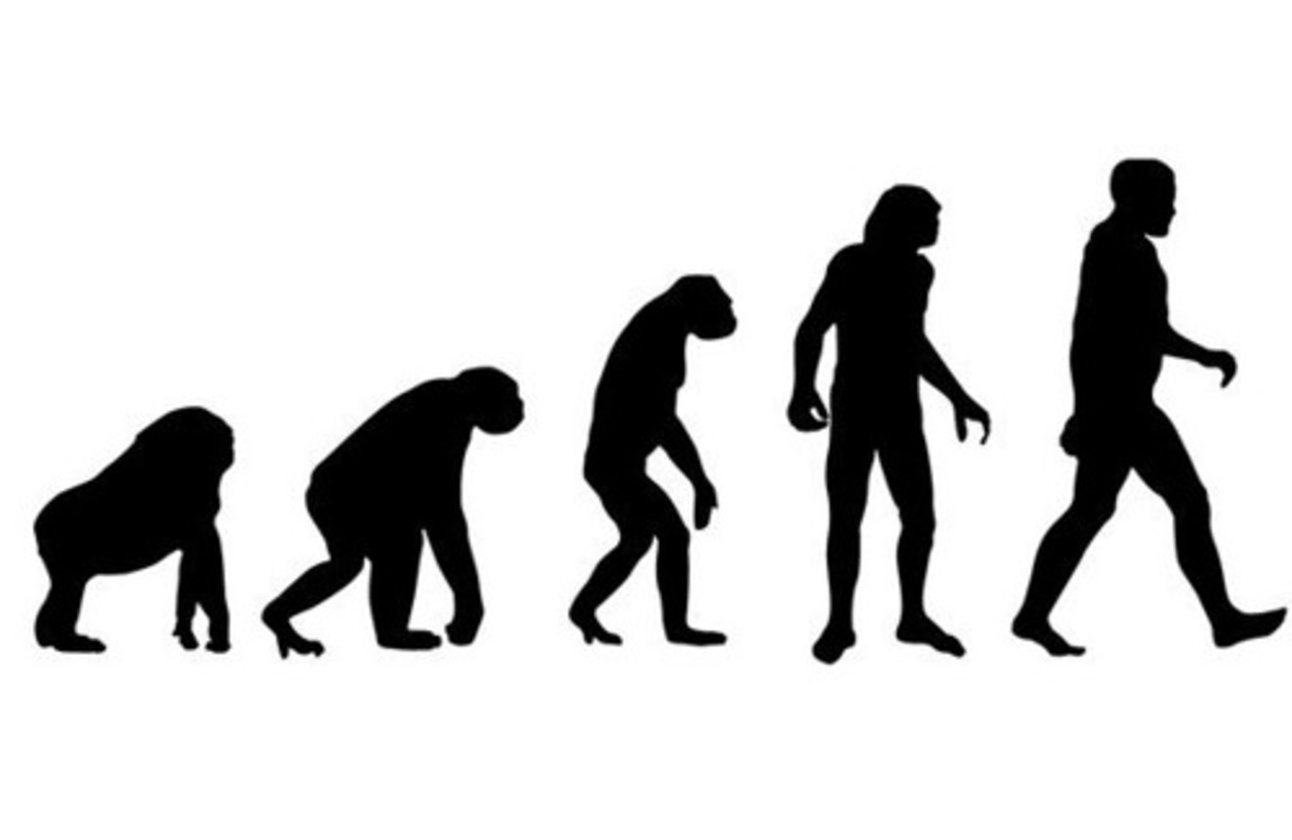 <p>TRANSLATION: теория эволюции</p><p>DEFINITION: the scientific idea that all living things developed from earlier forms over millions of years</p><p>EXAMPLE: The ........................ explains why polar bears have white fur and giraffes have long necks. ТЕОРИЯ ЭВОЛЮЦИИ объясняет, почему у белых медведей белый мех, а у жирафов длинные шеи.</p>
