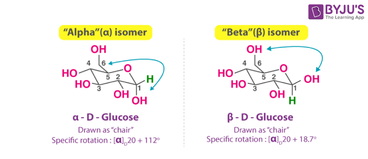 <p>change of rotation of plane-polarized light during interconversion of anomeric forms in solution</p>
