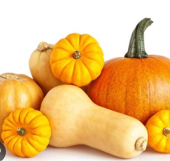 <p>pumpkin - s</p>