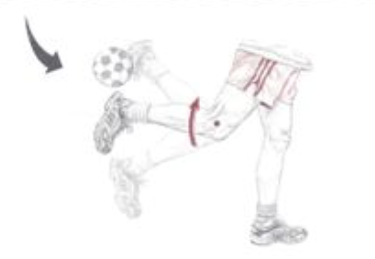 <p><span>Which of the following are the synergists of the motion depicted below? The dot indicates the joint of interest. Select all that apply.</span></p>