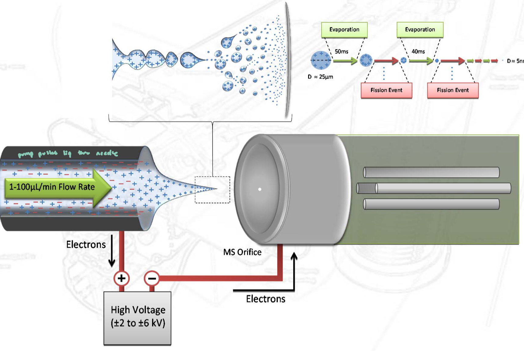<p>More ESI Figures</p>