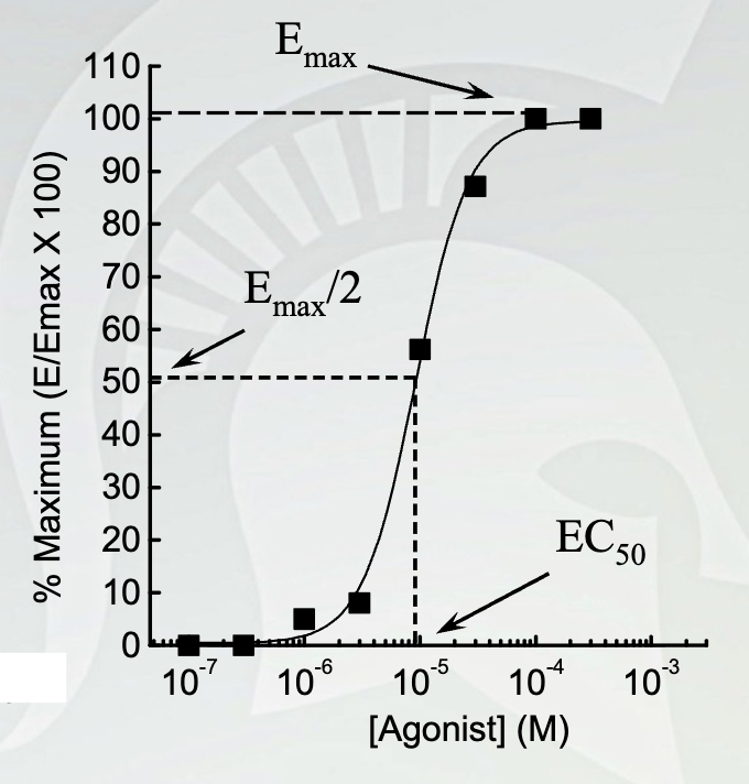 <ul><li><p>Top of the sigmoidal curve is the Emax → maximal effect (measurement of efficacy) plateaus here</p></li><li><p>Middle of curve → Emax/2 or EC50 (measures potency) → amount needed for ½ max effect in 50% of people </p></li></ul><p></p>