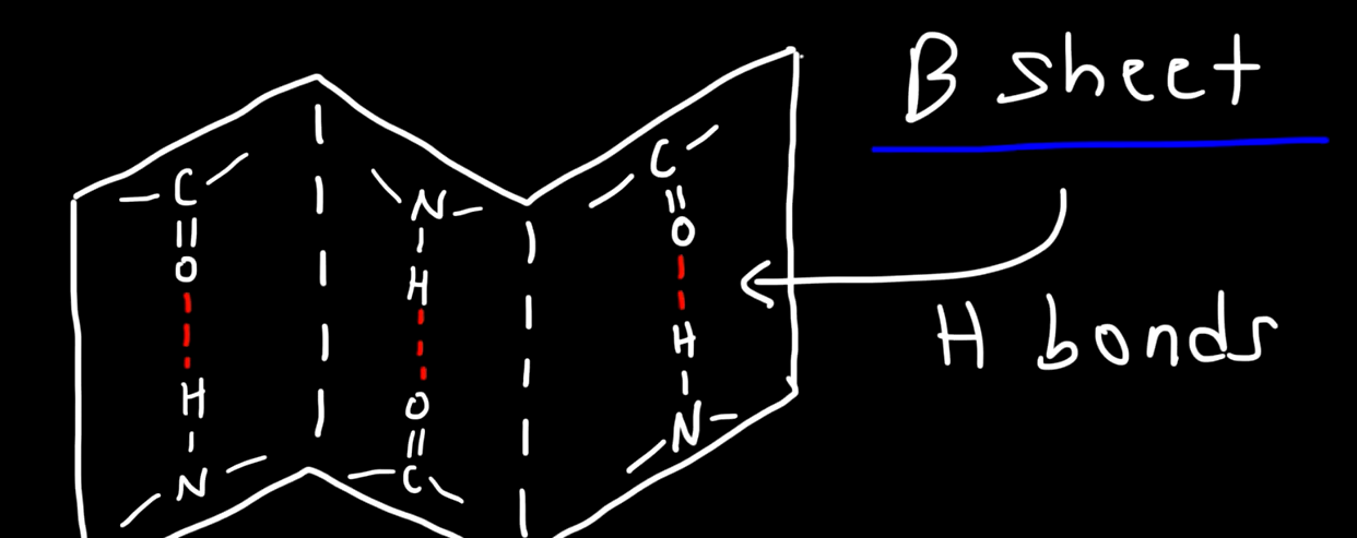 <ul><li><p>formed from hydrogen bonding between aligned regions </p></li></ul><p></p>