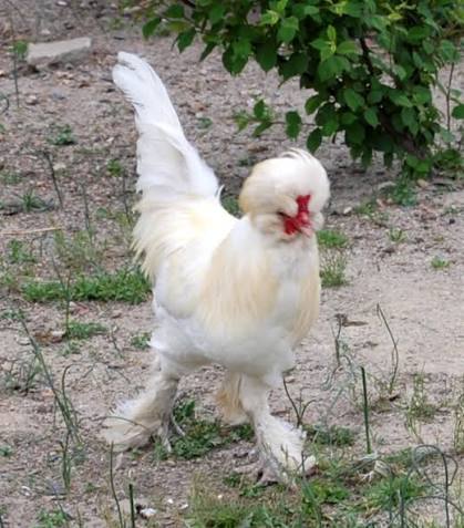 <p>identify</p>