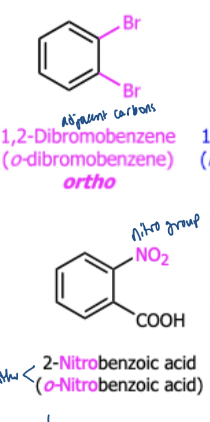 <p>adjacent carbon</p>