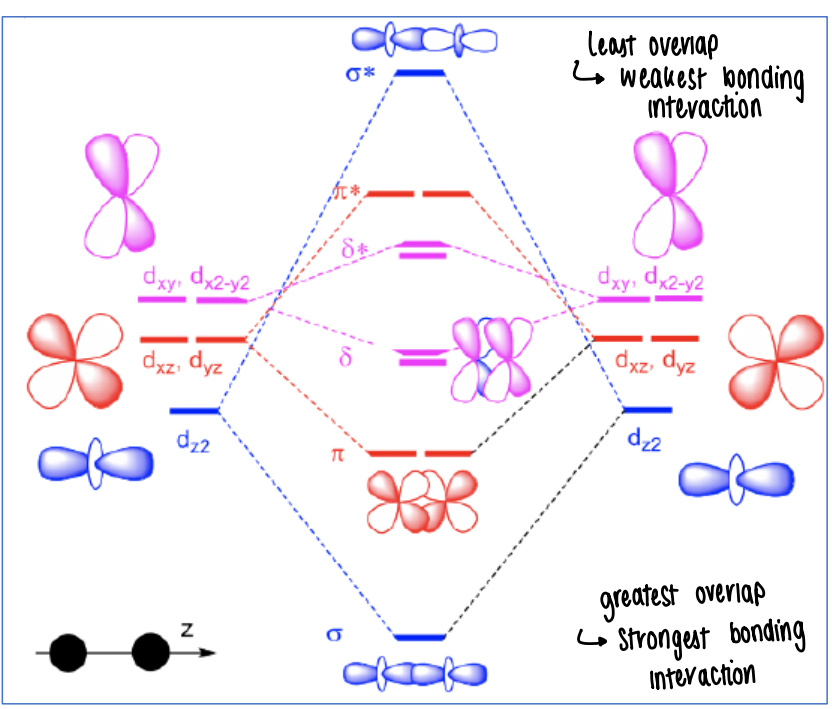 <p>The least overlap gives the weakest bonding interaction, therefore they have higher energy.</p><p>Orbitals which can overlap the strongest give the strongest bonding interaction (such as dz2)</p>