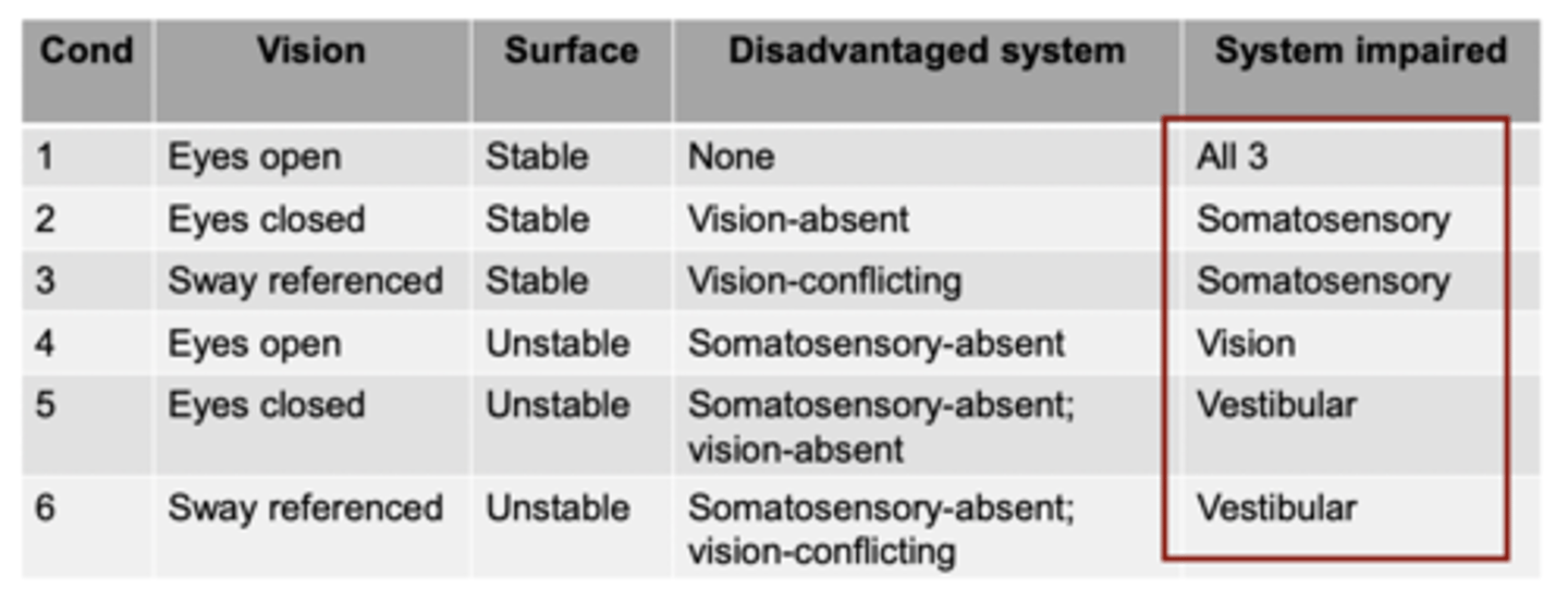 <p>Vestibular</p>