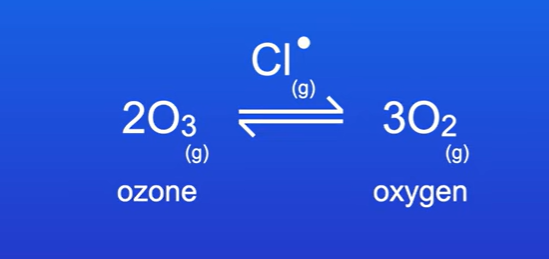 <p>Ozone is reacted to form oxygen, the reaction is catalysed by a chlorine free radical.</p>