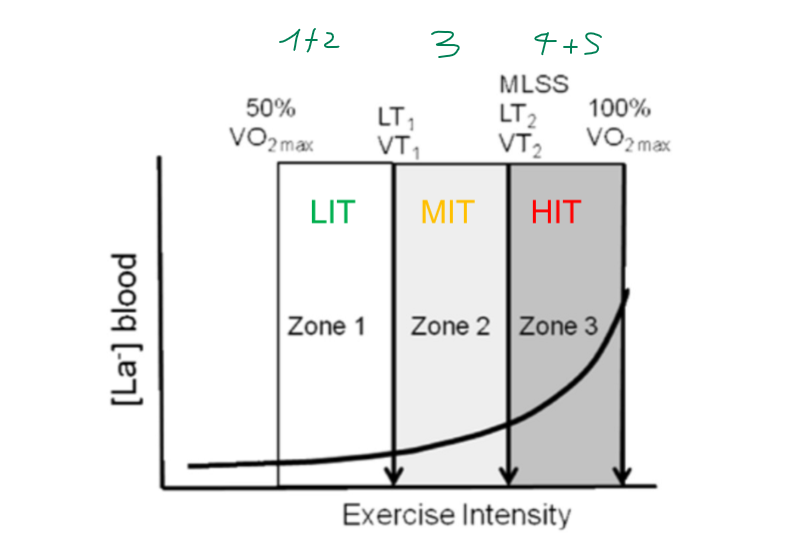 <p>Low-Intensity Training: 60-82% HR (1-2/5)</p><p></p><p>Moderate-Intensity Traing: 82-87% HR (3/5)</p><p></p><p>High-Inttensity training: >87% HR (4-5/5)</p>